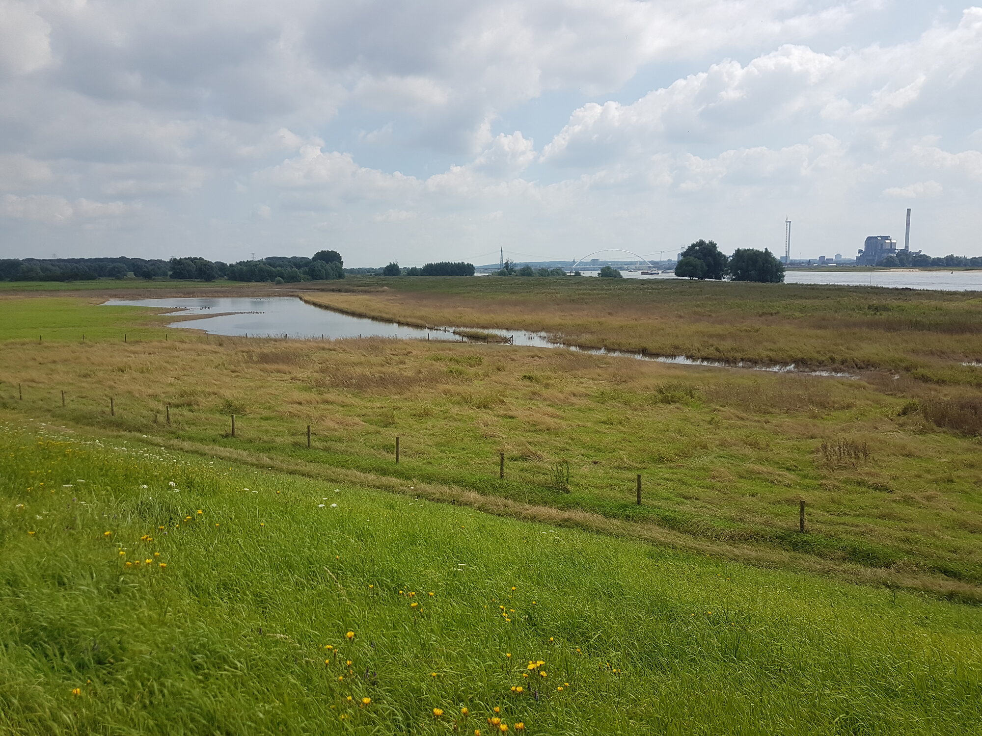 Wandelen in de natuur rond Nijmegen