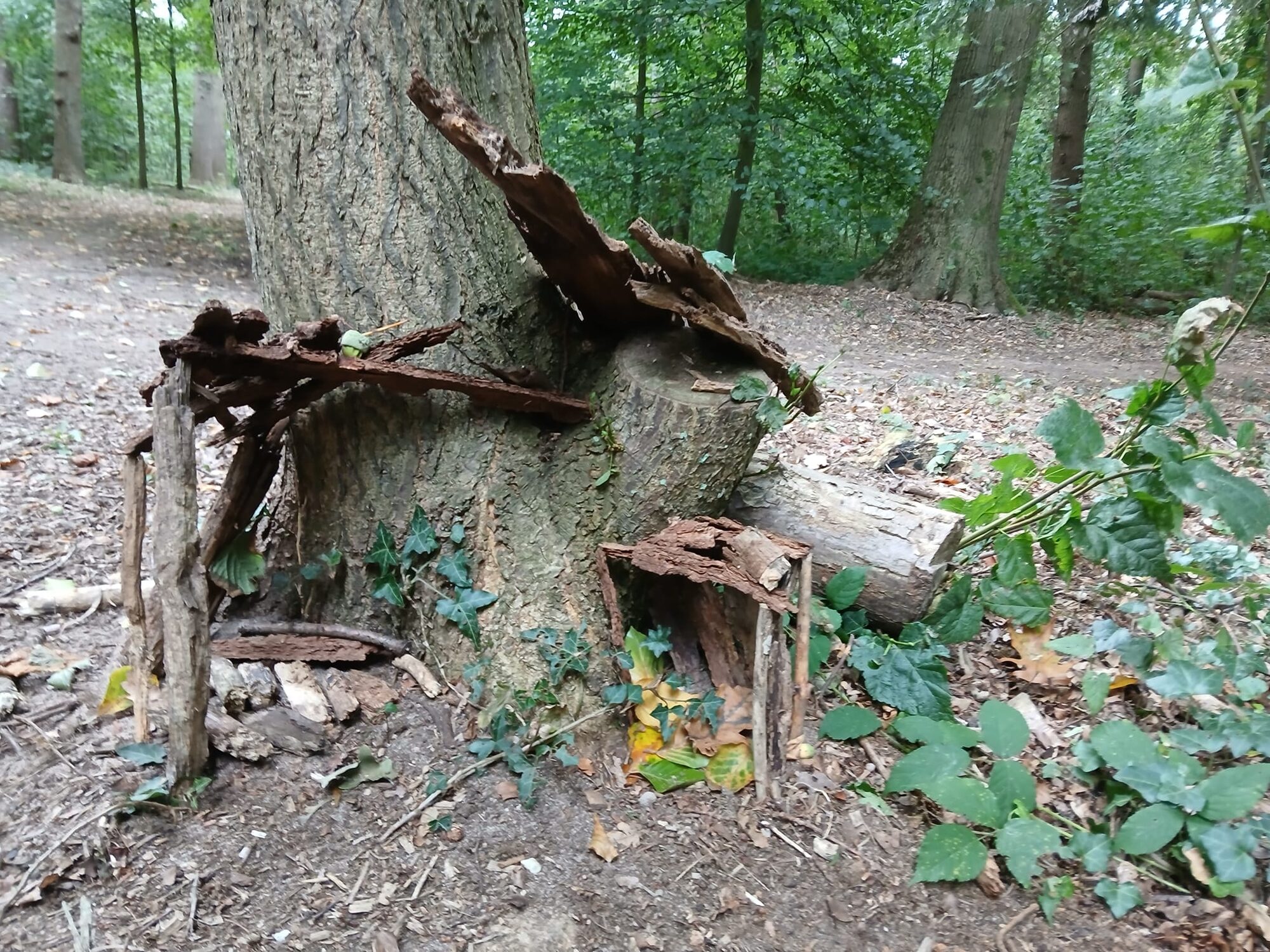 Spelen in het bos - mijn kantoor