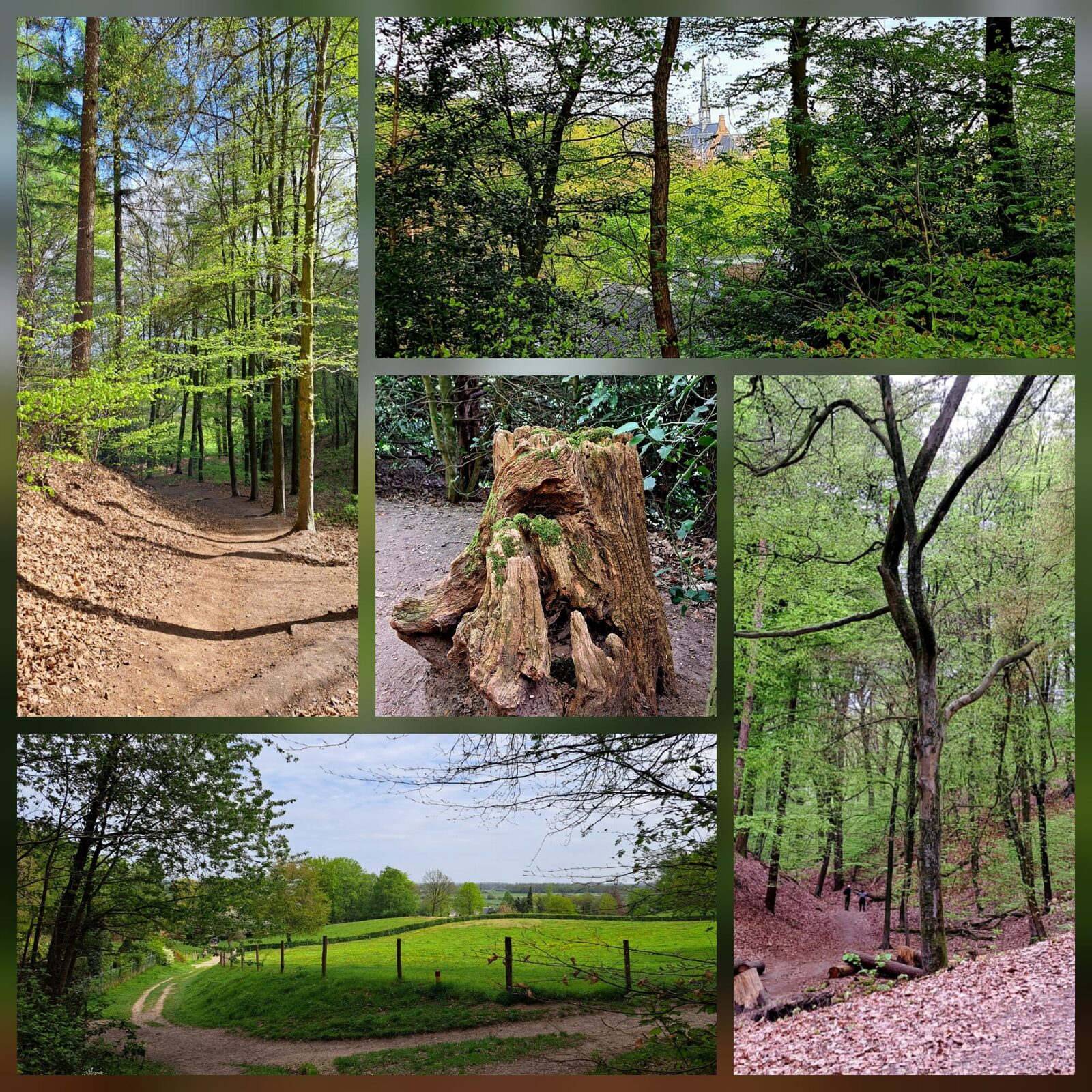 Voorjaarsretraite — Ubbergen — sfeerbeeld 6